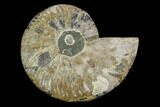 Agatized Ammonite Fossil (Half) - Madagascar #88181-1
